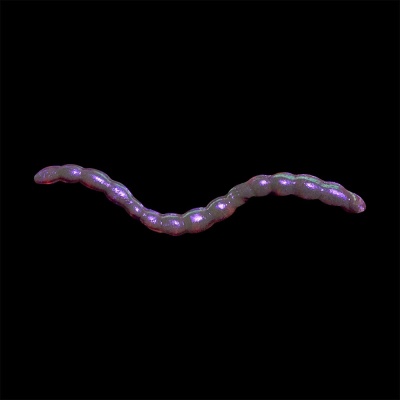 Мотыль 1,7" 43мм цвет 018