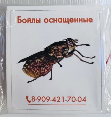 D-6 Бойлы оснащенные Fish-ka Африканская муха (10шт./уп)