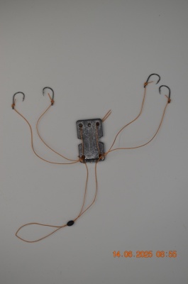 Оснастка "Жмыховка"  50гр.