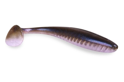 Силиконовая приманка FORMAT PIONEER 100mm F24