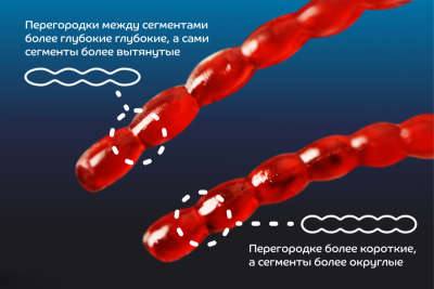 Nano worm (мотыль) 86-90-36-6